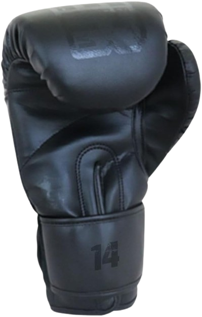 Guantes de Box Fighter Negro, 14 oz Voit